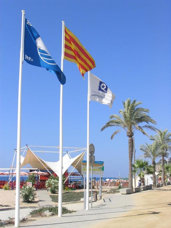 Precioso y económico estudio en Calella Exterior foto